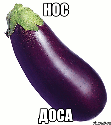 нос доса