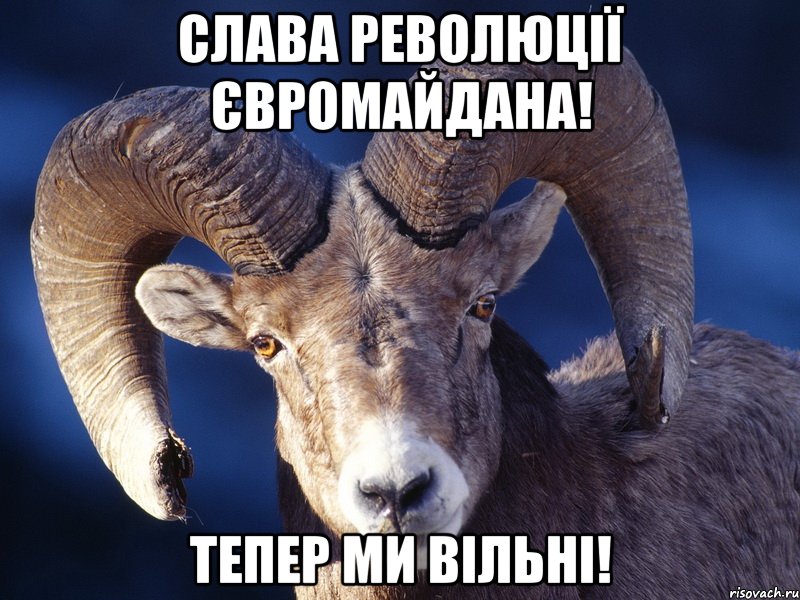 СЛАВА РЕВОЛЮЦІЇ ЄВРОМАЙДАНА! ТЕПЕР МИ ВІЛЬНІ!