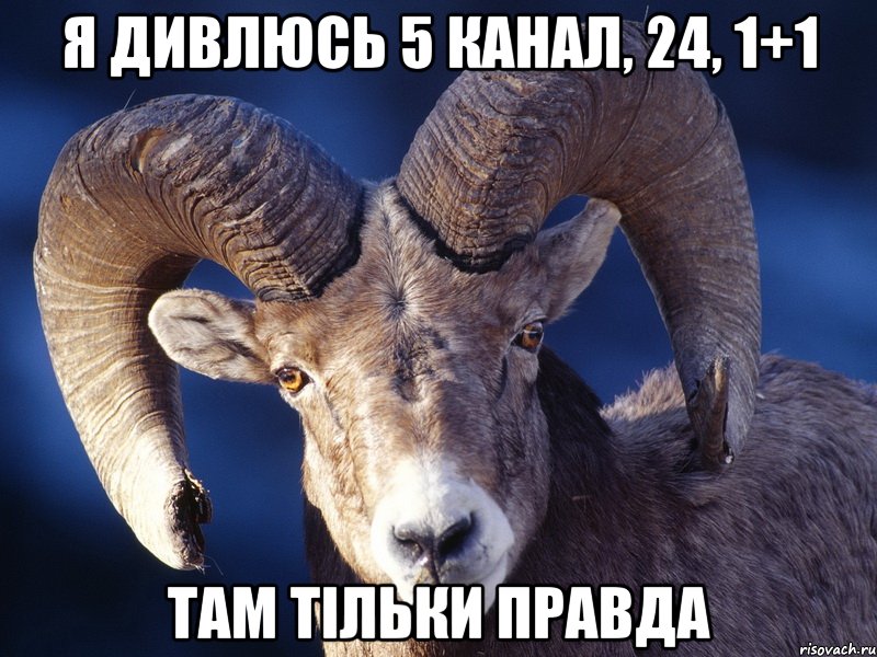 Я ДИВЛЮСЬ 5 КАНАЛ, 24, 1+1 ТАМ ТІЛЬКИ ПРАВДА