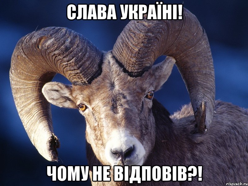 СЛАВА УКРАЇНІ! ЧОМУ НЕ ВІДПОВІВ?!