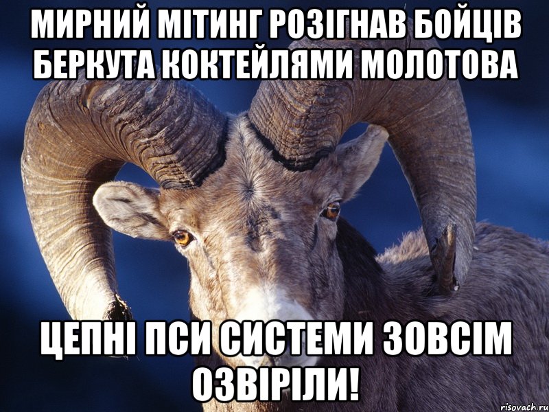 Мирний мітинг розігнав бойців Беркута коктейлями Молотова Цепні пси системи зовсім озвіріли!