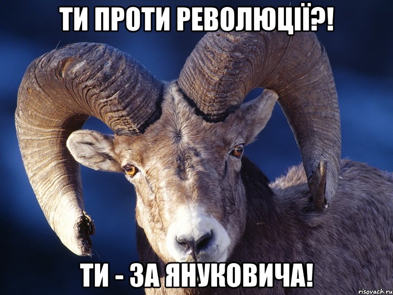 Ти проти революції?! Ти - за Януковича!