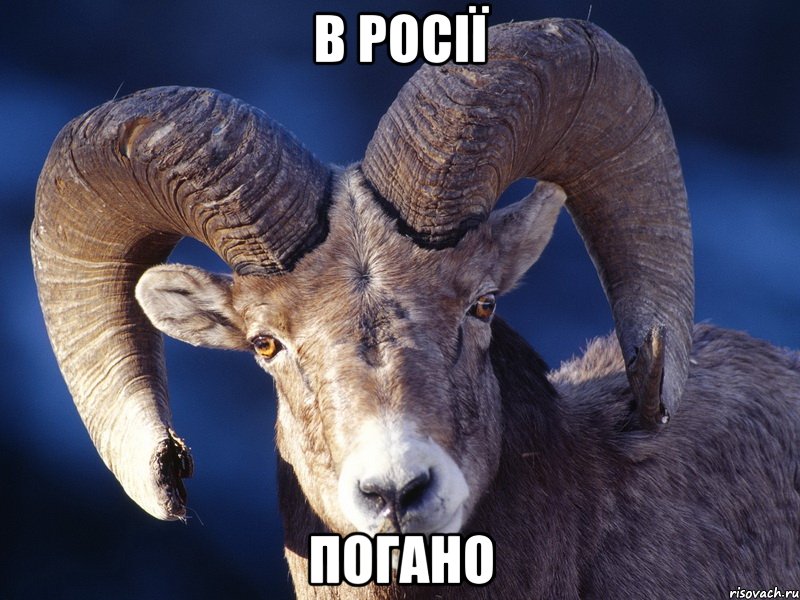 В РОСІЇ ПОГАНО