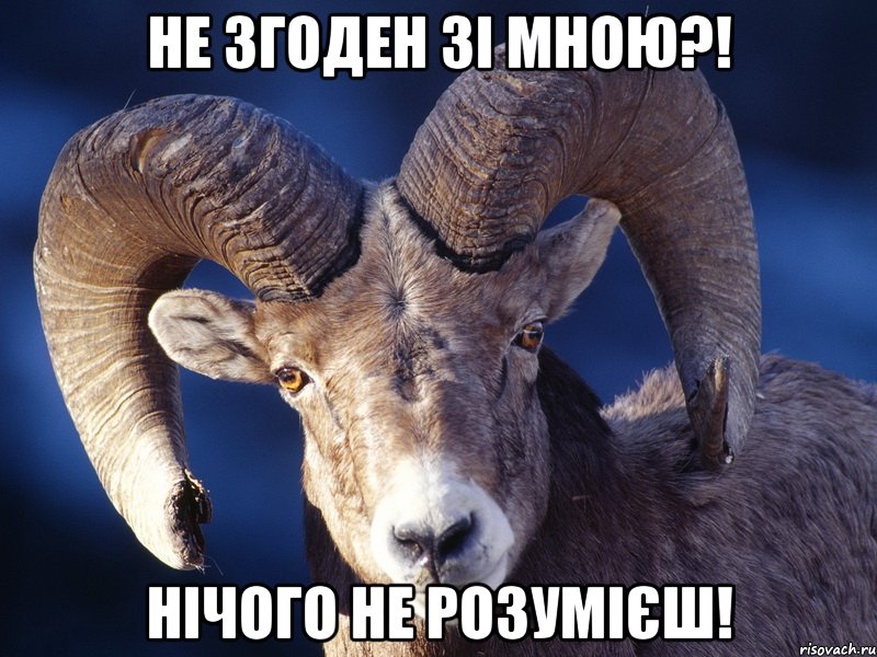 НЕ ЗГОДЕН ЗІ МНОЮ?! НІЧОГО НЕ РОЗУМІЄШ!