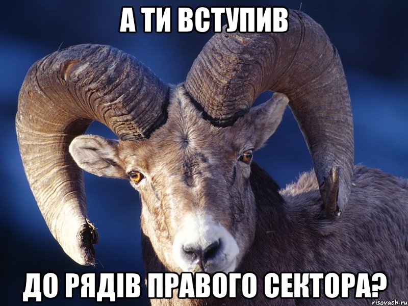 А ти вступив до рядів Правого сектора?