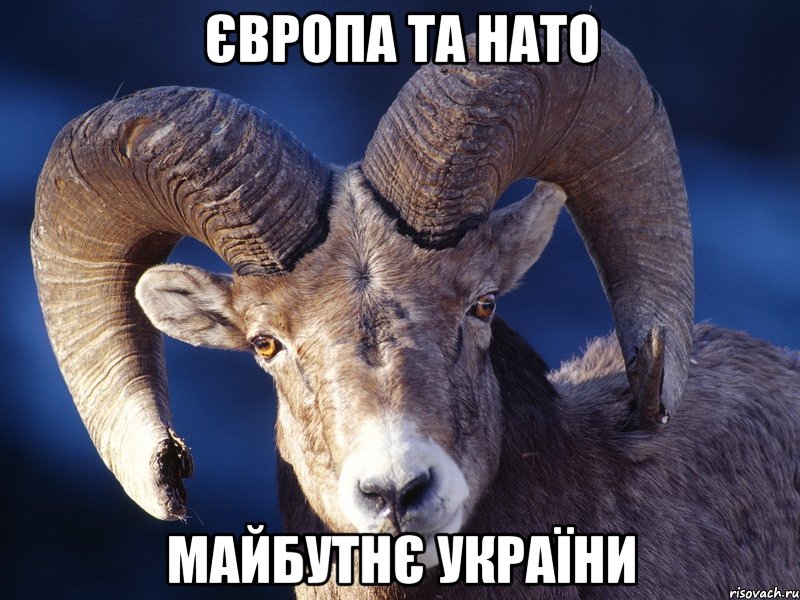 європа та нато майбутнє україни