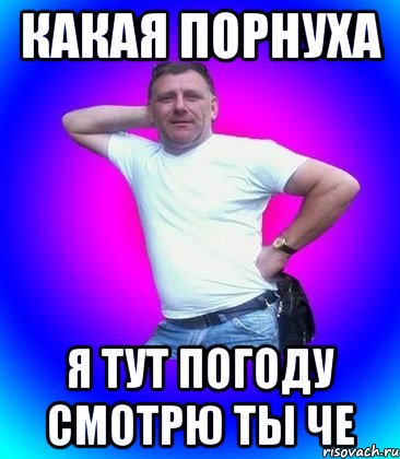 Какая порнуха я тут погоду смотрю ты че, Мем Батя