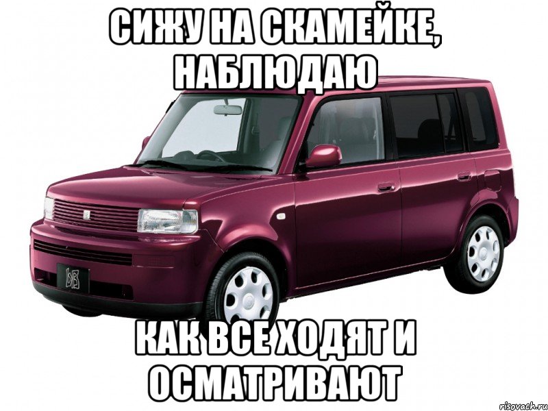 сижу на скамейке, наблюдаю как все ходят и осматривают