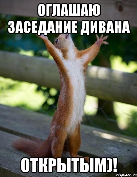 оглашаю заседание дивана открытым)!, Мем    белка молится