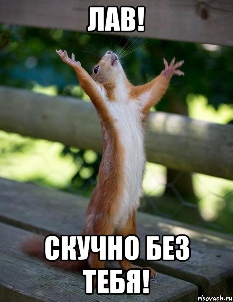 ЛАВ! Скучно без тебя!, Мем    белка молится