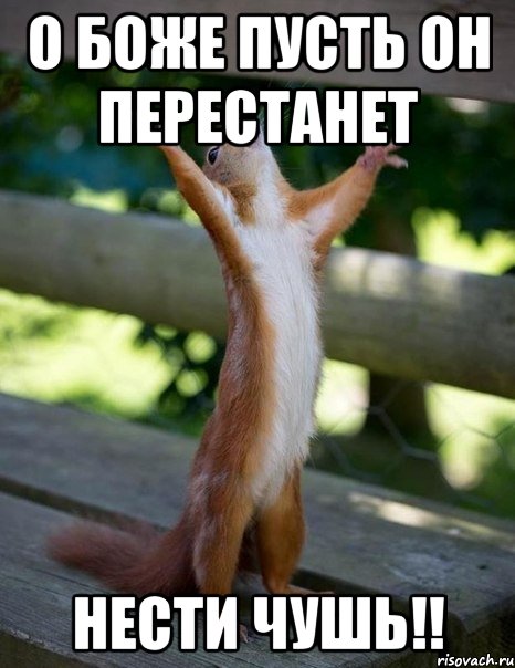 о боже пусть он перестанет нести чушь!!, Мем    белка молится