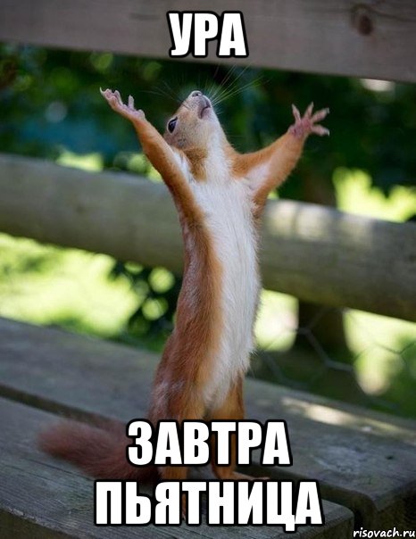 ура завтра пьятница, Мем    белка молится