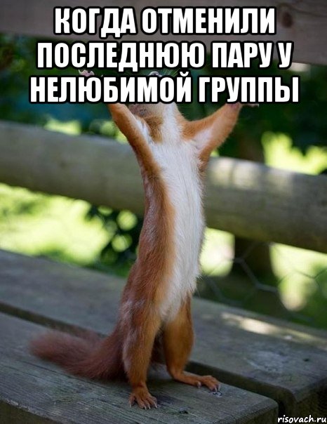 когда отменили последнюю пару у нелюбимой группы , Мем    белка молится