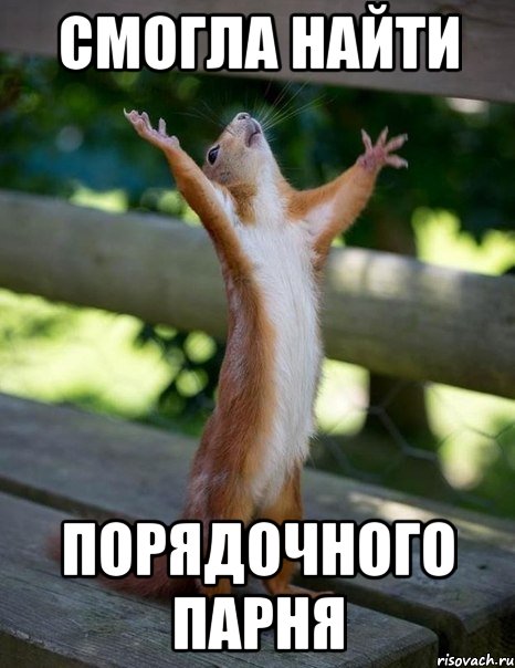 Смогла найти Порядочного парня, Мем    белка молится