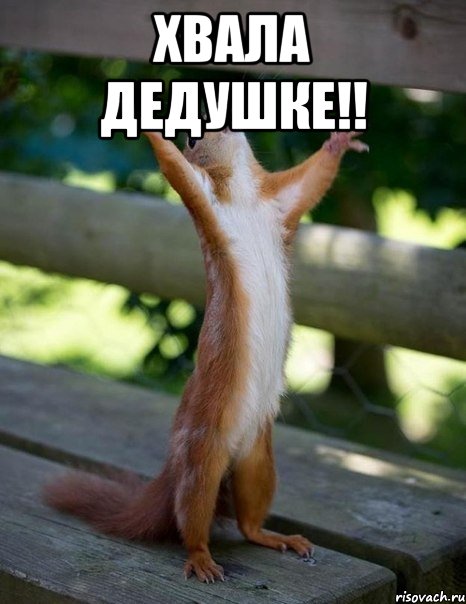 ХВАЛА ДЕДУШКЕ!! , Мем    белка молится