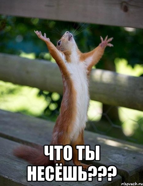  что ты несёшь???, Мем    белка молится
