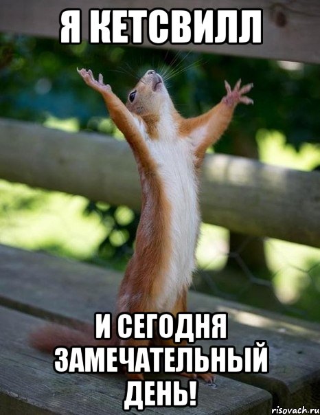 Я Кетсвилл И сегодня замечательный день!, Мем    белка молится