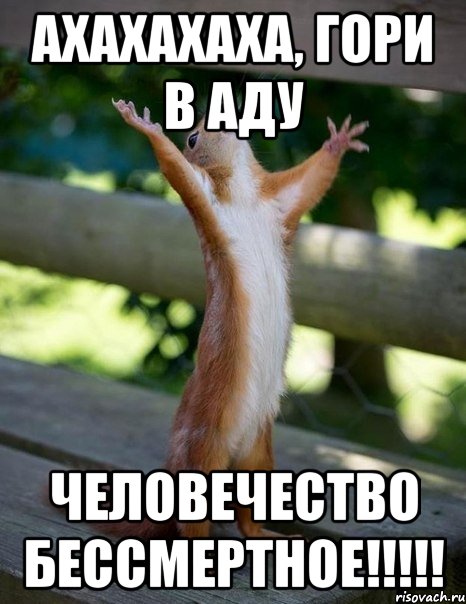 АХАХАХАХА, ГОРИ В АДУ ЧЕЛОВЕЧЕСТВО БЕССМЕРТНОЕ!!!!!, Мем    белка молится