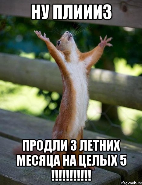 Ну плиииз Продли 3 летних месяца на целых 5 !!!!!!!!!!!, Мем    белка молится