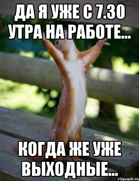 Да я уже с 7.30 утра на работе... Когда же уже выходные..., Мем    белка молится