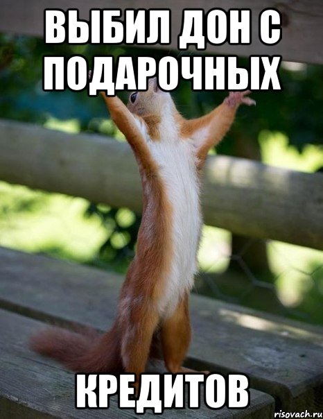 Выбил дон с подарочных кредитов, Мем    белка молится