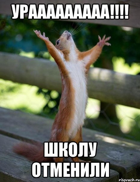 УРААААААААА!!!! Школу отменили, Мем    белка молится