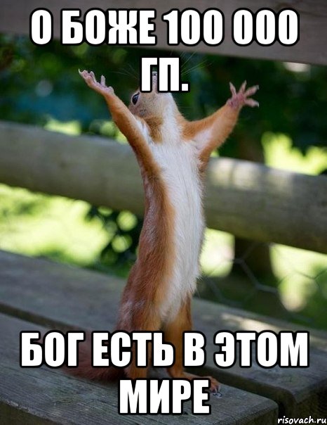 о боже 100 000 гп. бог есть в этом мире, Мем    белка молится