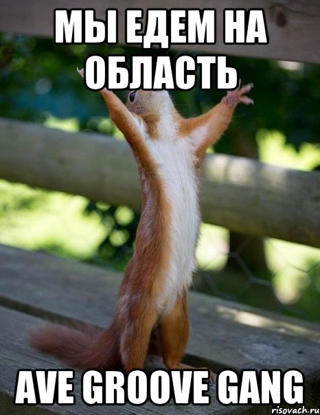 МЫ ЕДЕМ НА ОБЛАСТь AVE GROOVE GANG, Мем    белка молится