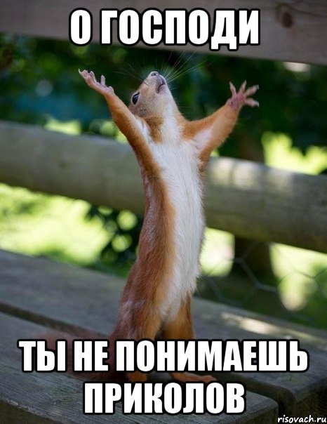 О Господи ты не понимаешь приколов, Мем    белка молится