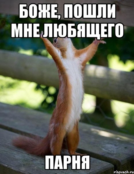 Боже, пошли мне любящего ПАРНЯ, Мем    белка молится