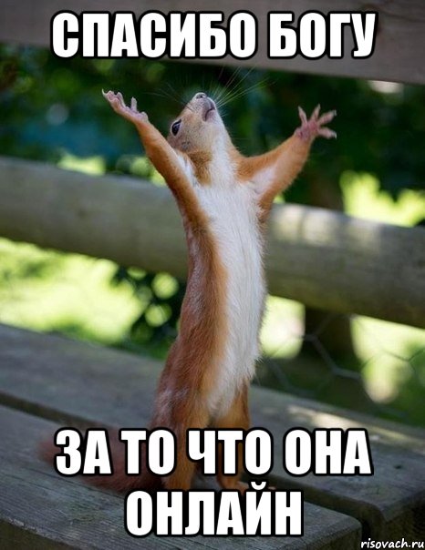 Спасибо Богу За то что она онлайн, Мем    белка молится