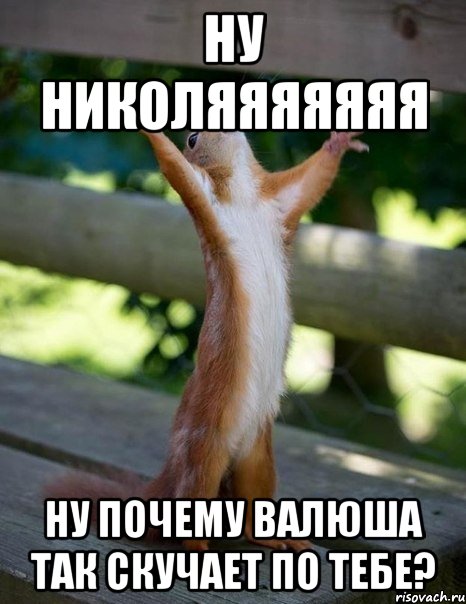 НУ НИКОЛЯЯЯЯЯЯЯ НУ ПОЧЕМУ ВАЛЮША ТАК СКУЧАЕТ ПО ТЕБЕ?, Мем    белка молится