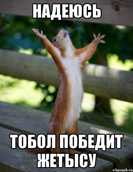 надеюсь тобол победит жетысу, Мем    белка молится