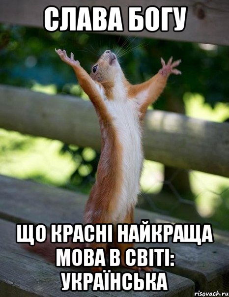 СЛАВА БОГУ ЩО КРАСНІ НАЙКРАЩА МОВА В СВІТІ: УКРАЇНСЬКА, Мем    белка молится