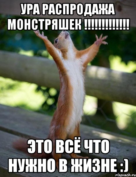 ура распродажа монстряшек !!!!!!!!!!!!! это всё что нужно в жизне :), Мем    белка молится