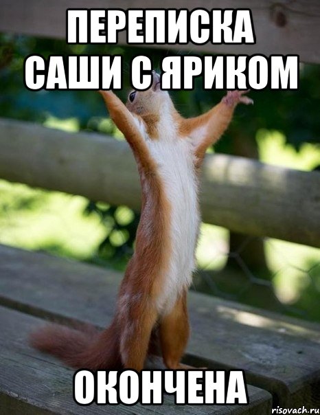 Переписка Саши с Яриком ОКОНЧЕНА, Мем    белка молится