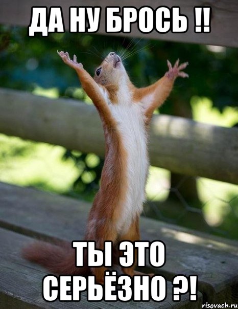 Да ну брось !! Ты это серьёзно ?!, Мем    белка молится