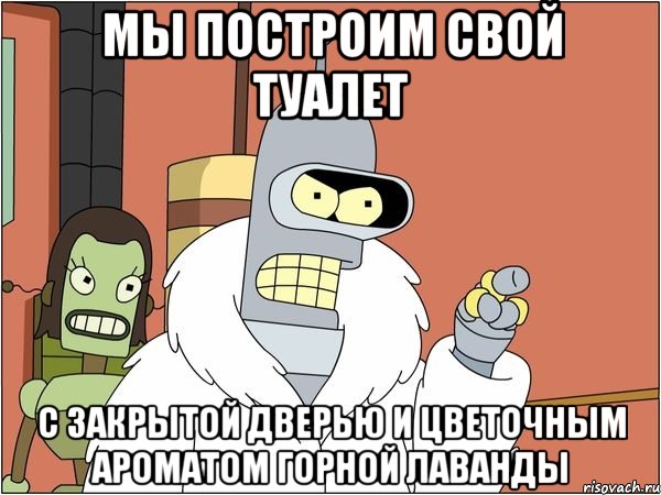 Мы построим свой туалет с закрытой дверью и цветочным ароматом горной лаванды, Мем Бендер