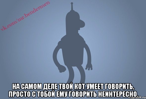  На самом деле твой кот умеет говорить, просто с тобой ему говорить неинтересно., Мем Бендор-цитаты