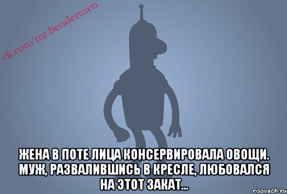  Жена в поте лица консервировала овощи. Муж, развалившись в кресле, любовался на этот закат...