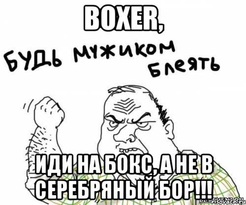 boxer, иди на бокс, а не в серебряный бор!!!, Мем блять