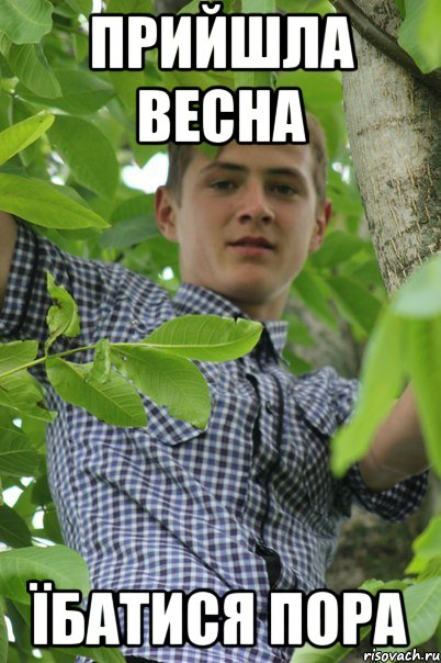Прийшла весна їбатися пора