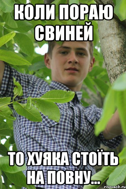 коли пораю свиней то хуяка стоїть на повну...