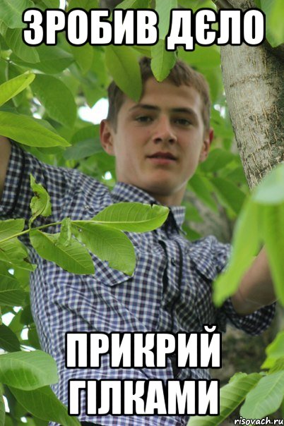Зробив дєло Прикрий гілками