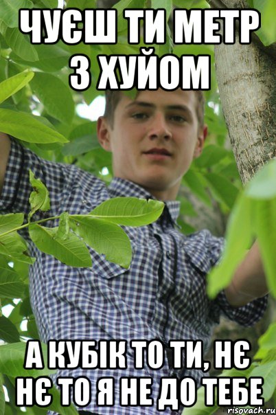 Чуєш ти метр з хуйом а кубік то ти, нє нє то я не до тебе