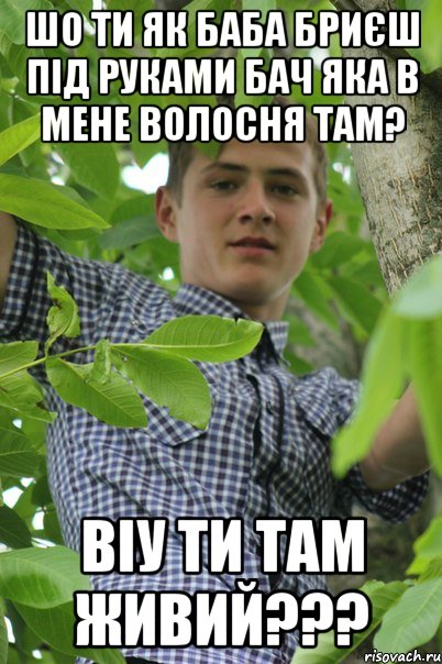 Шо ти як баба бриєш під руками бач яка в мене волосня там? Віу ти там живий???