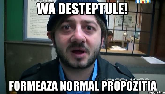 Wa desteptule! Formeaza normal propozitia, Мем Бородач