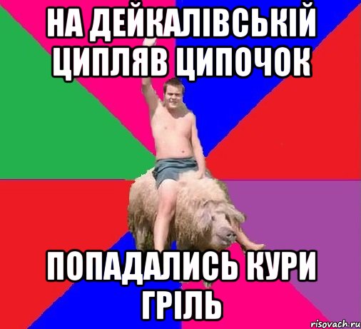 НА ДЕЙКАЛІВСЬКІЙ ЦИПЛЯВ ЦИПОЧОК ПОПАДАЛИСЬ КУРИ ГРІЛЬ