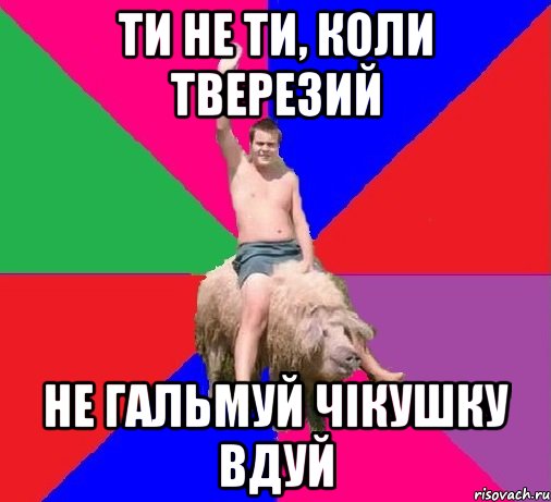 ТИ НЕ ТИ, КОЛИ ТВЕРЕЗИЙ НЕ ГАЛЬМУЙ ЧІКУШКУ ВДУЙ