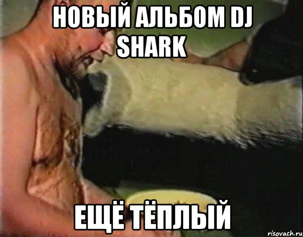 новый альбом DJ Shark ещё тёплый, Мем братишка я тебе покушать принес